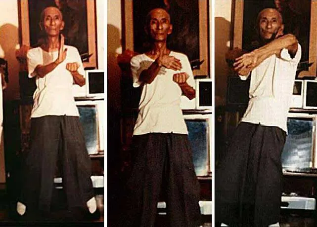 Great Grandmaster Yip Man