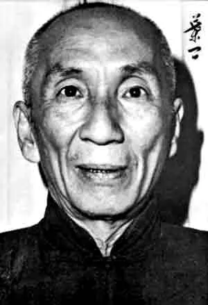 ip man wing chun